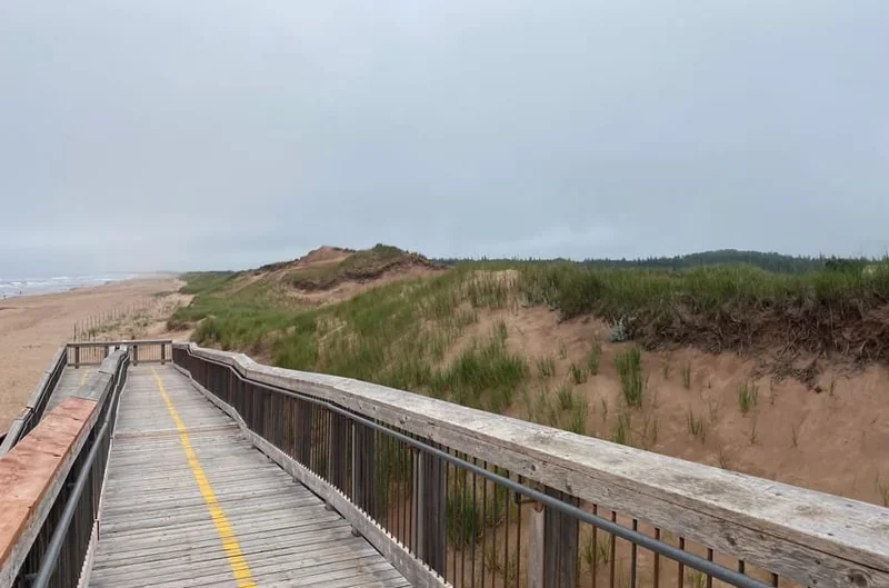Excursion privée en van sur la côte nord de l'Î.-P.-É.